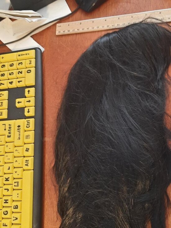 NEW ! Women 24 Inch Long Hair Straight Wig Human Hair Black